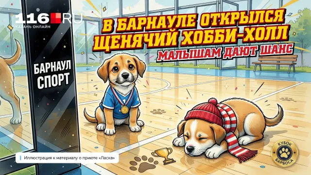 В Барнауле открылся щенячий хобби-холл. Малышам дают шанс